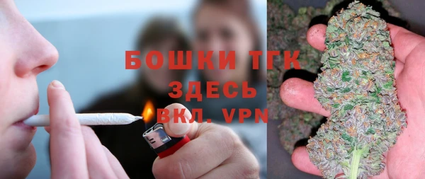 ГАЛЛЮЦИНОГЕННЫЕ ГРИБЫ Горно-Алтайск