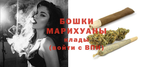 мдпв Горнозаводск