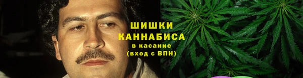 мдпв Горнозаводск