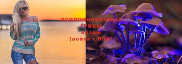 мдпв Горнозаводск