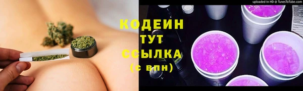 дмт Гусев