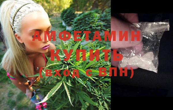 ГАЛЛЮЦИНОГЕННЫЕ ГРИБЫ Горно-Алтайск