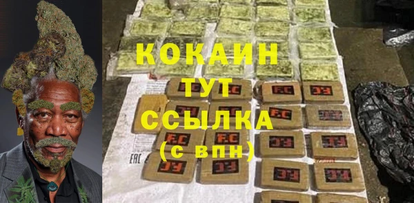 ГАЛЛЮЦИНОГЕННЫЕ ГРИБЫ Горно-Алтайск