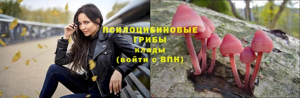 ГАЛЛЮЦИНОГЕННЫЕ ГРИБЫ Горно-Алтайск
