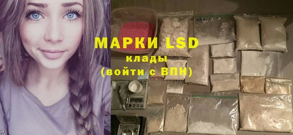 ГАЛЛЮЦИНОГЕННЫЕ ГРИБЫ Горно-Алтайск